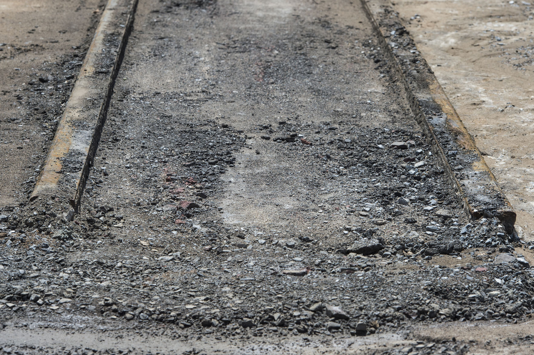 LNA 05092018 Trolley Tracks Wild Art 02